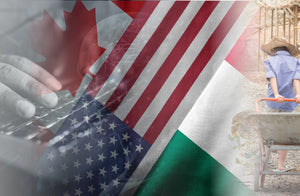 Forced Labor in North American Supply Chains: What’s New?